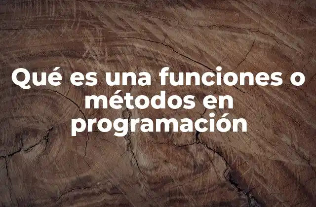Qué es una Funciones o Métodos en Programación