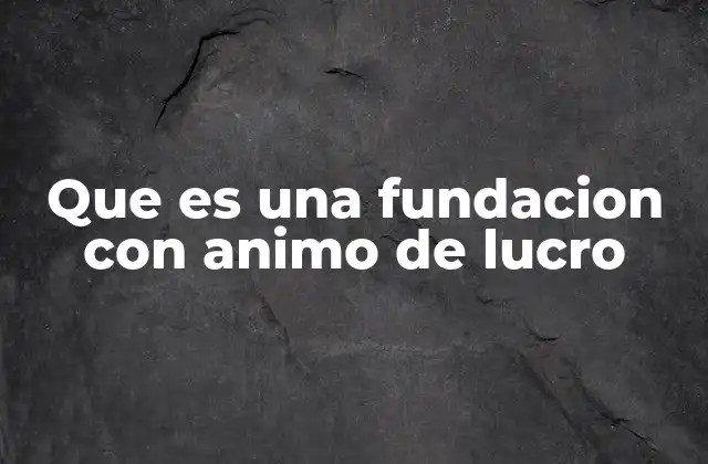 Que es una Fundacion con Animo de Lucro