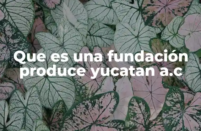 Que es una Fundación Produce Yucatan A.c