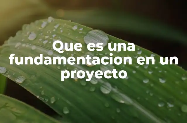 Que es una Fundamentacion en un Proyecto