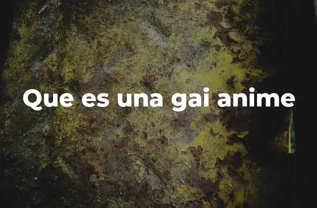 Que es una Gai Anime