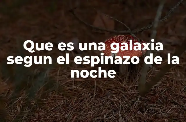 Que es una Galaxia Segun el Espinazo de la Noche