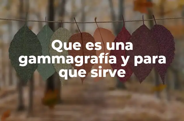 Que es una Gammagrafía y para que Sirve