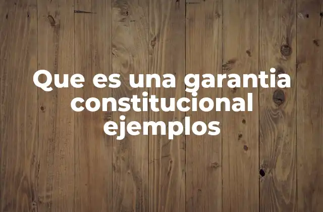 Que es una Garantia Constitucional Ejemplos