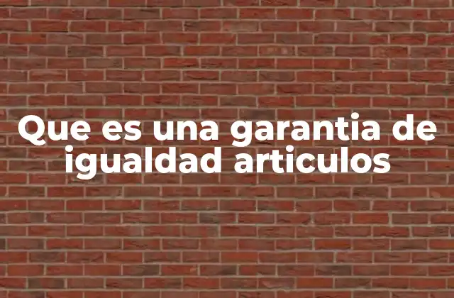Que es una Garantia de Igualdad Articulos