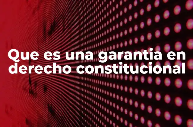 Que es una Garantia en Derecho Constitucional 2 La protección de derechos fundamentales como eje central