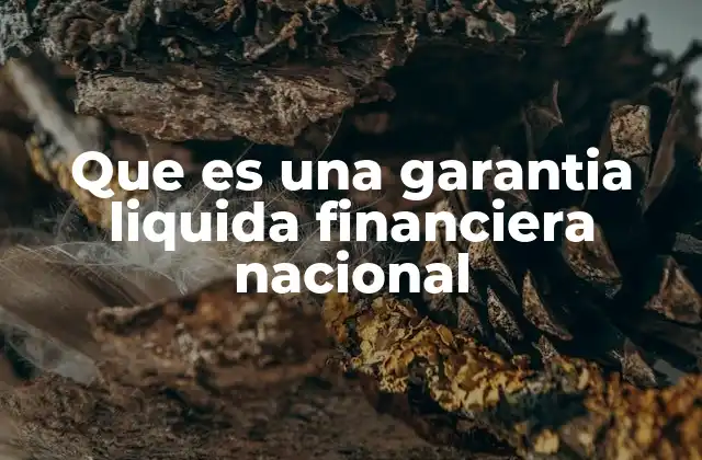 Que es una Garantia Liquida Financiera Nacional