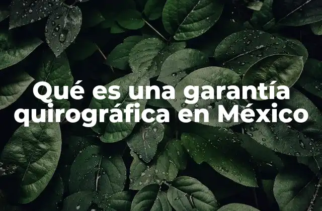 Qué es una Garantía Quirográfica en México