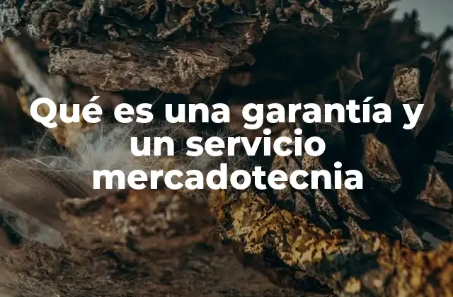 Qué es una Garantía y un Servicio Mercadotecnia