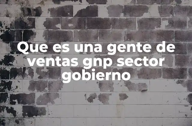 Que es una Gente de Ventas Gnp Sector Gobierno