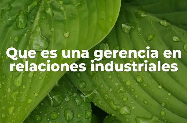 Que es una Gerencia en Relaciones Industriales