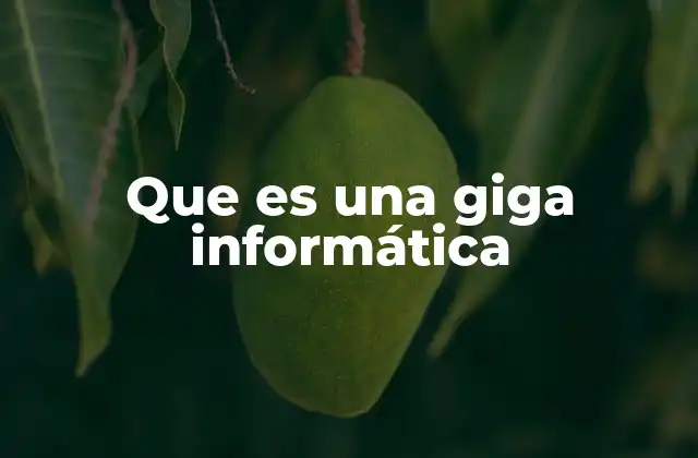 Que es una Giga Informática 2 La relevancia del almacenamiento digital en la era moderna