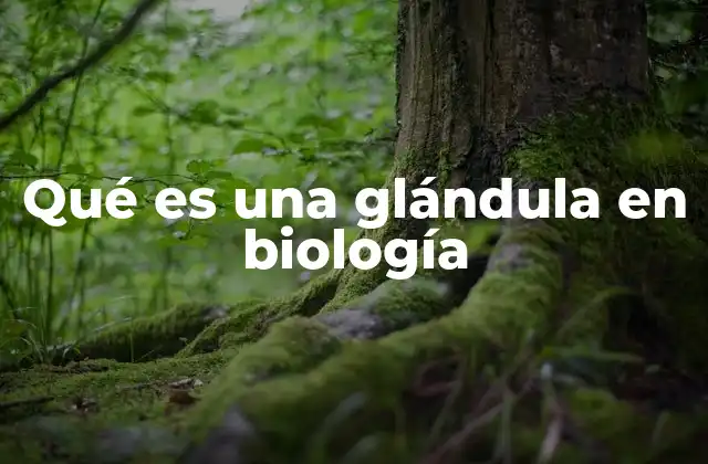 Qué es una Glándula en Biología