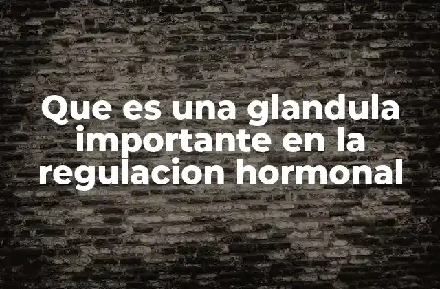 Que es una Glandula Importante en la Regulacion Hormonal