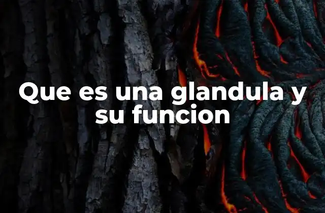 Que es una Glandula y Su Funcion