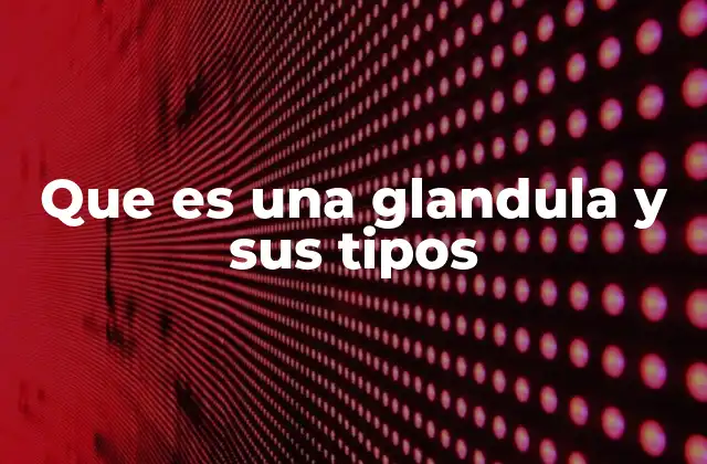El papel de las glándulas en la regulación del cuerpo