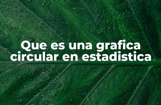 Que es una Grafica Circular en Estadistica