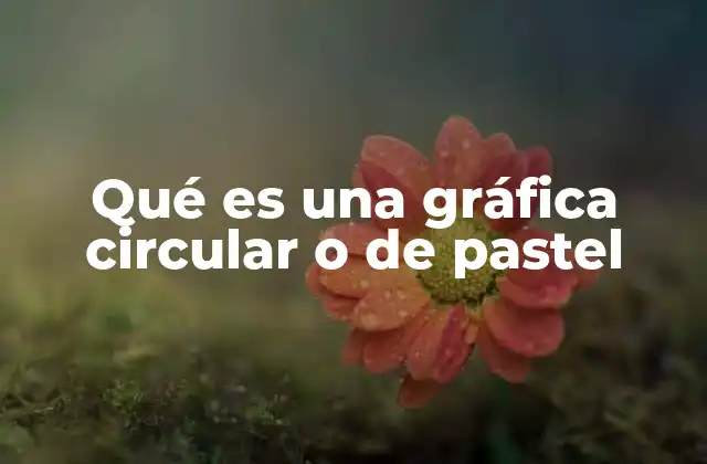 Qué es una Gráfica Circular o de Pastel