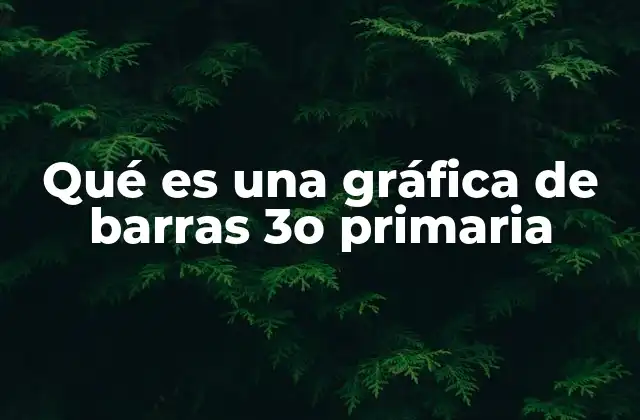 Qué es una Gráfica de Barras 3o Primaria 2 Introducción a las gráficas en la educación primaria