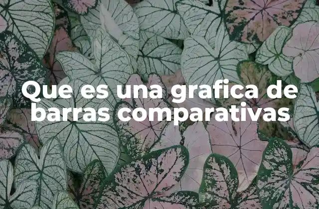 Que es una Grafica de Barras Comparativas