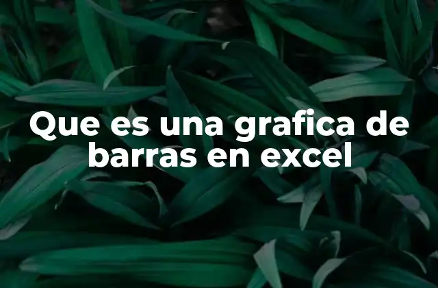 Que es una Grafica de Barras en Excel