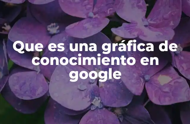 Que es una Gráfica de Conocimiento en Google