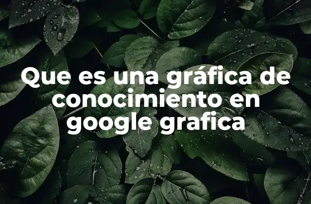Que es una Gráfica de Conocimiento en Google Grafica