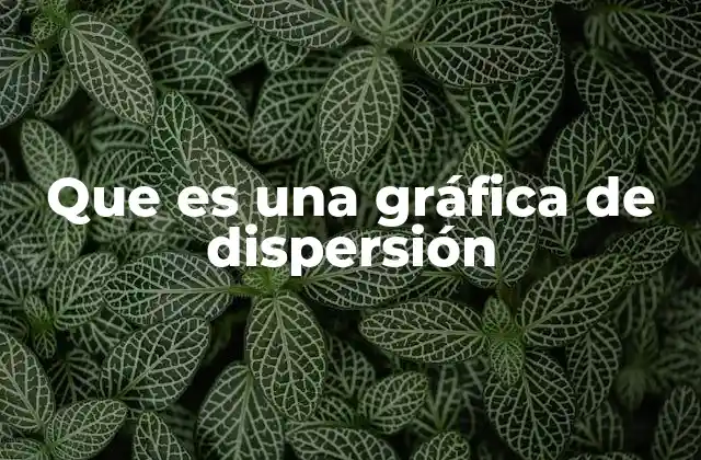 Que es una Gráfica de Dispersión