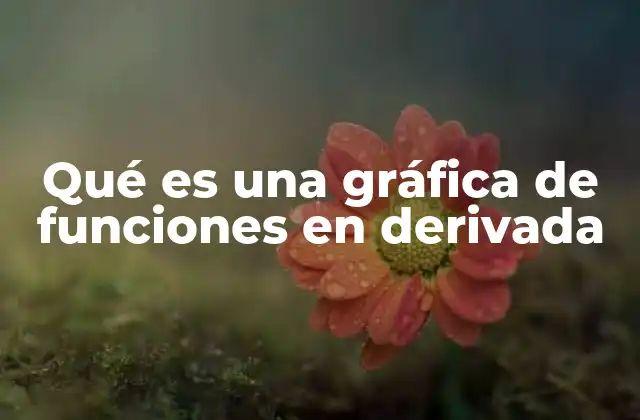 Qué es una Gráfica de Funciones en Derivada