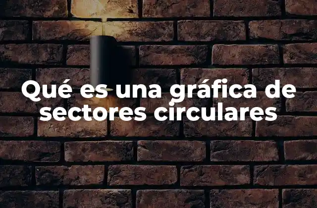 Visualización de datos proporcional en gráficos circulares