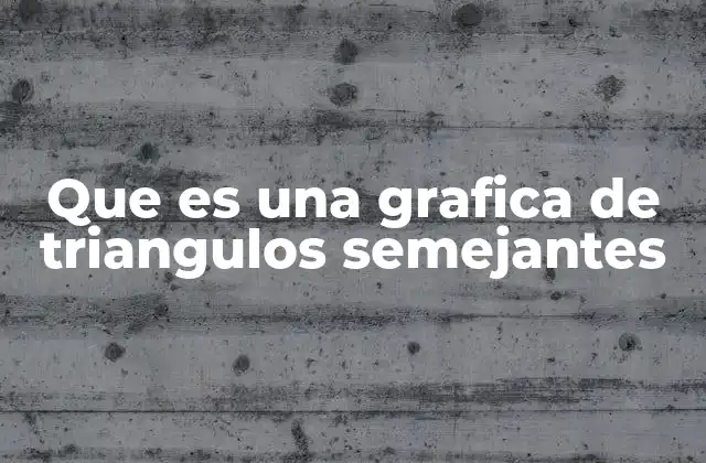 Que es una Grafica de Triangulos Semejantes