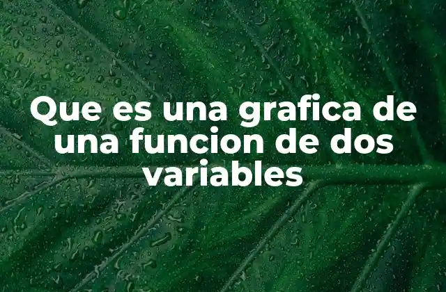 Que es una Grafica de una Funcion de Dos Variables 2 La importancia de las gráficas 3D en el análisis matemático