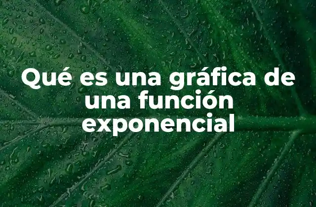 Qué es una Gráfica de una Función Exponencial
