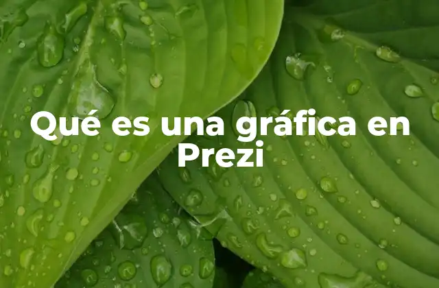Qué es una Gráfica en Prezi