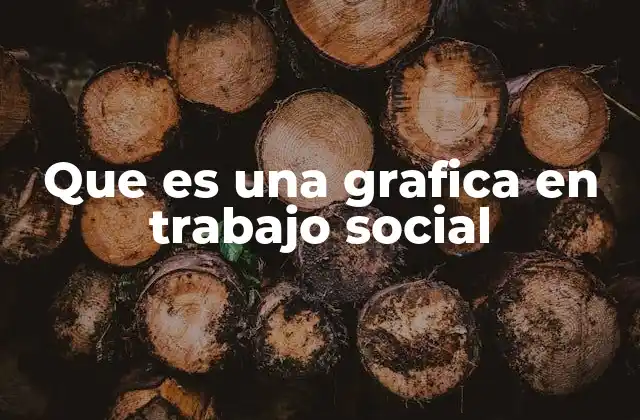 Que es una Grafica en Trabajo Social