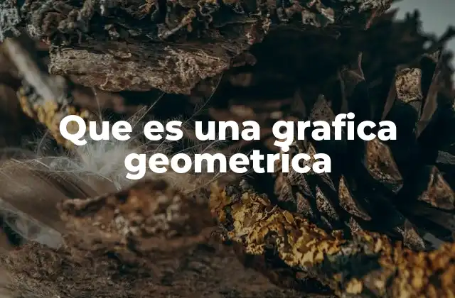 Que es una Grafica Geometrica 2 La importancia de las representaciones visuales en el estudio de la geometría