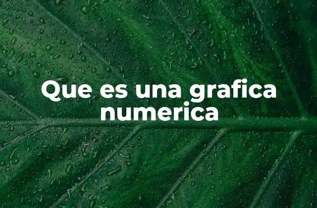 Que es una Grafica Numerica