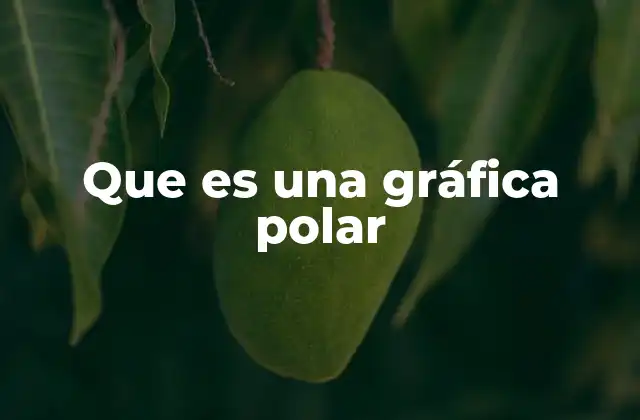 Que es una Gráfica Polar