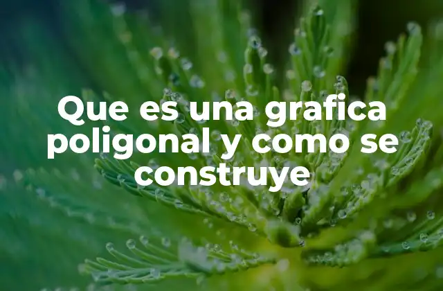 Que es una Grafica Poligonal y como Se Construye 2 Características y ventajas de las gráficas poligonales