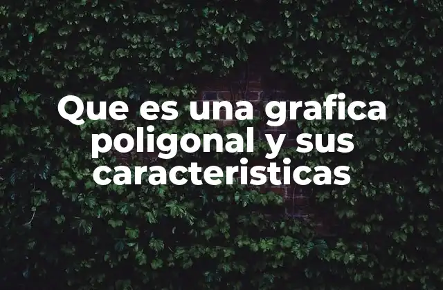 Que es una Grafica Poligonal y Sus Caracteristicas
