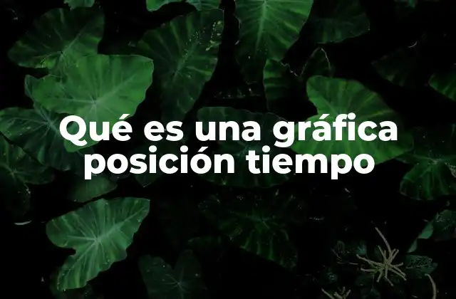 Qué es una Gráfica Posición Tiempo