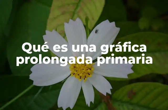 El papel de las gráficas prolongadas en el análisis fisiológico