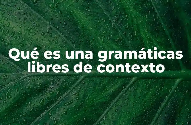 Qué es una Gramáticas Libres de Contexto