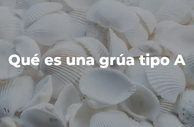 Qué es una Grúa Tipo a