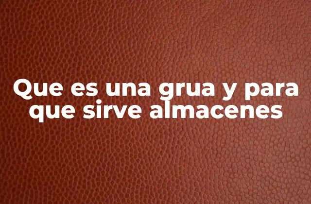 Que es una Grua y para que Sirve Almacenes