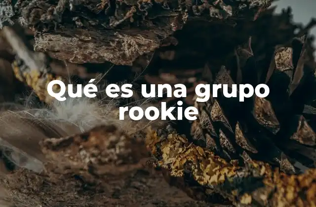 Qué es una Grupo Rookie