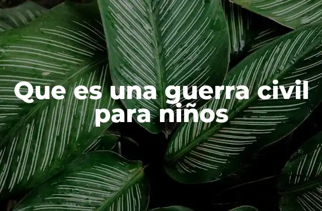 Que es una Guerra Civil para Niños