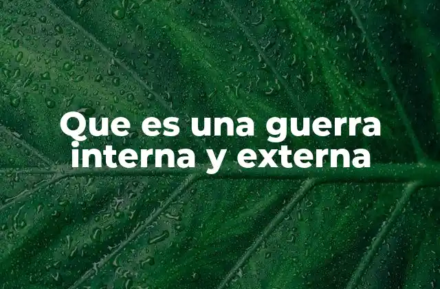 Que es una Guerra Interna y Externa