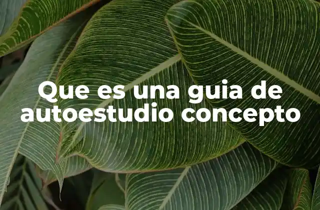 Que es una Guia de Autoestudio Concepto