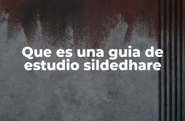Que es una Guia de Estudio Sildedhare